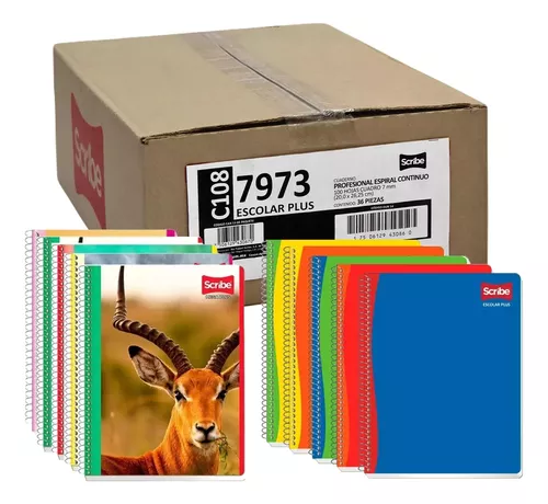 Caja de Cuaderno Scribe c/36 (Solo, pick up)